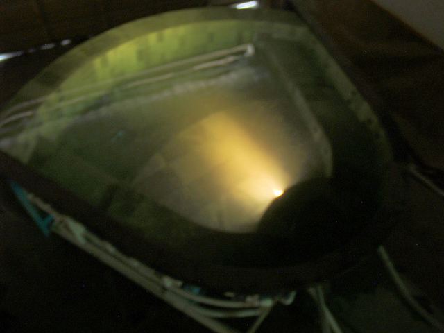 Photos